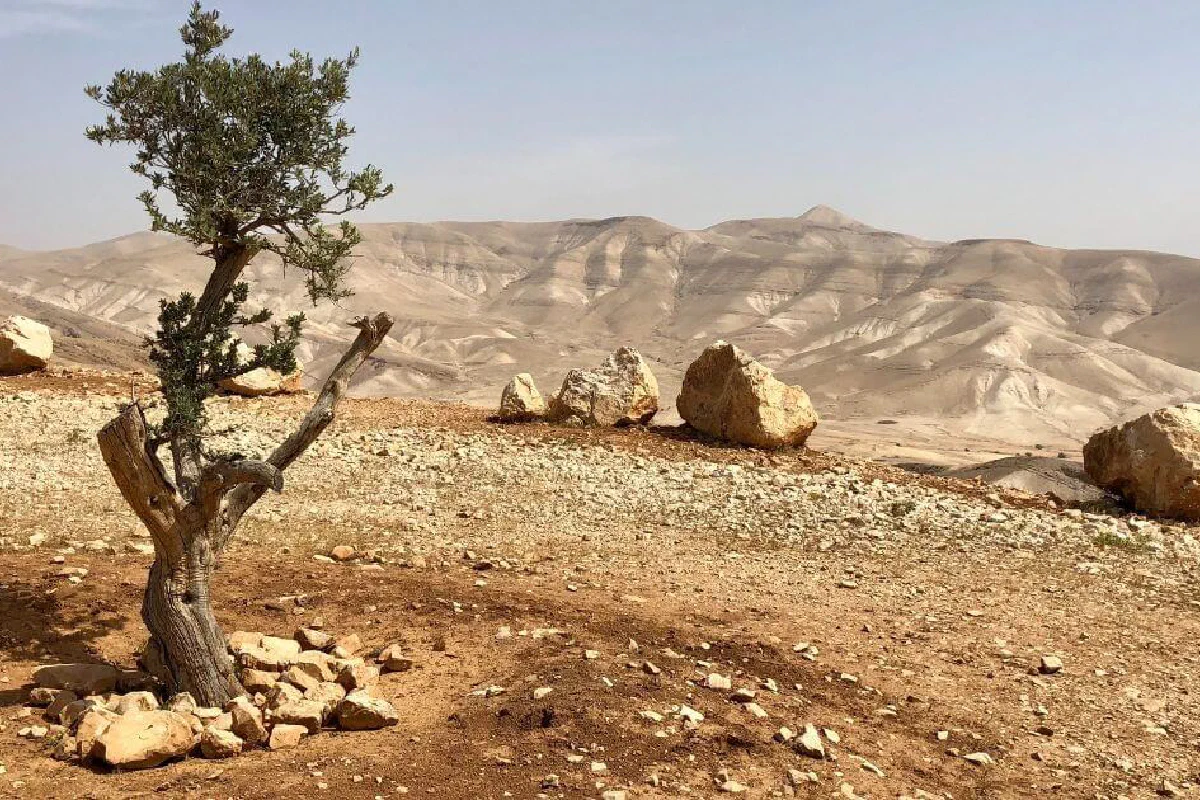 The Palestinian covenant – What is it?