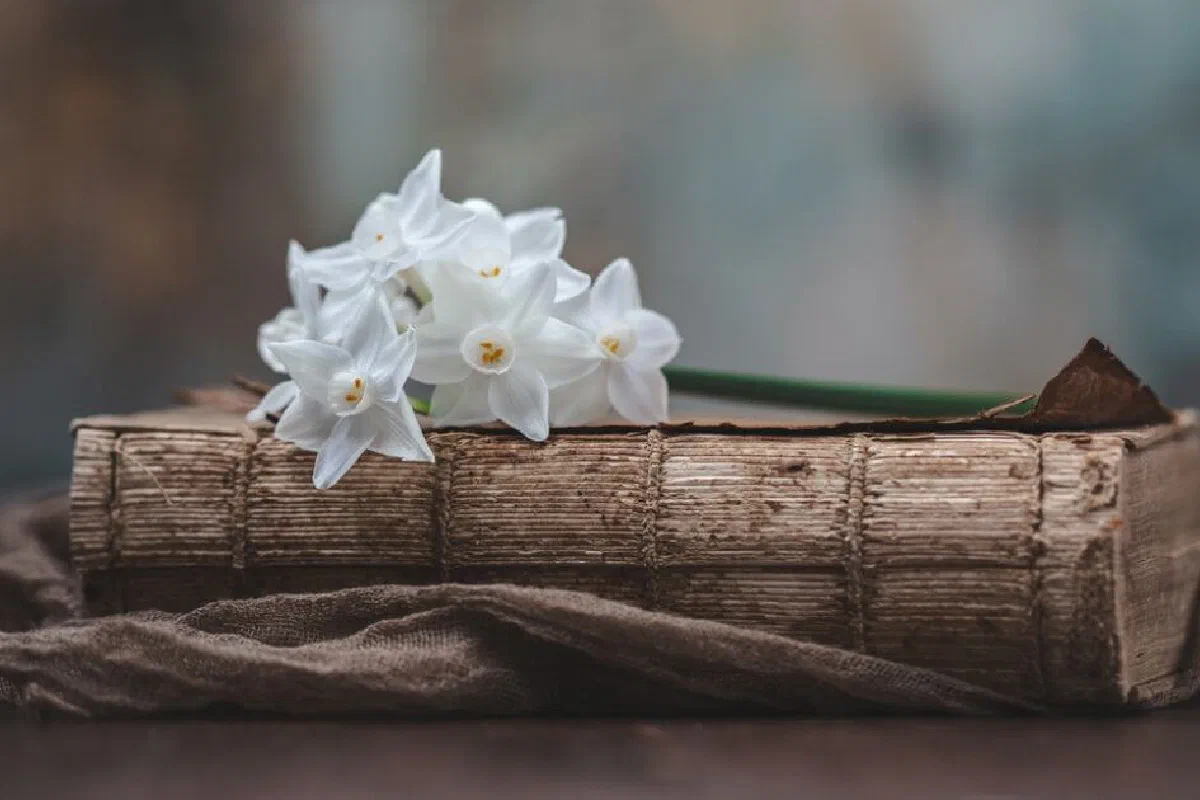 The Pistis Sophia – What is it?