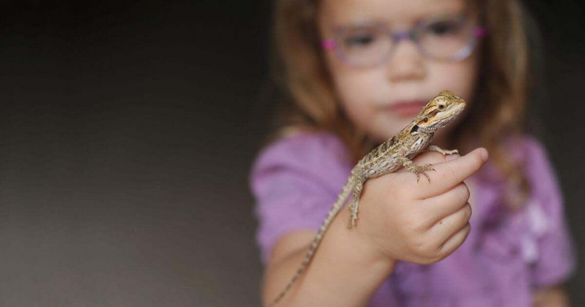 Is there any validity to the Reptilian conspiracy? What is the Reptilian conspiracy?