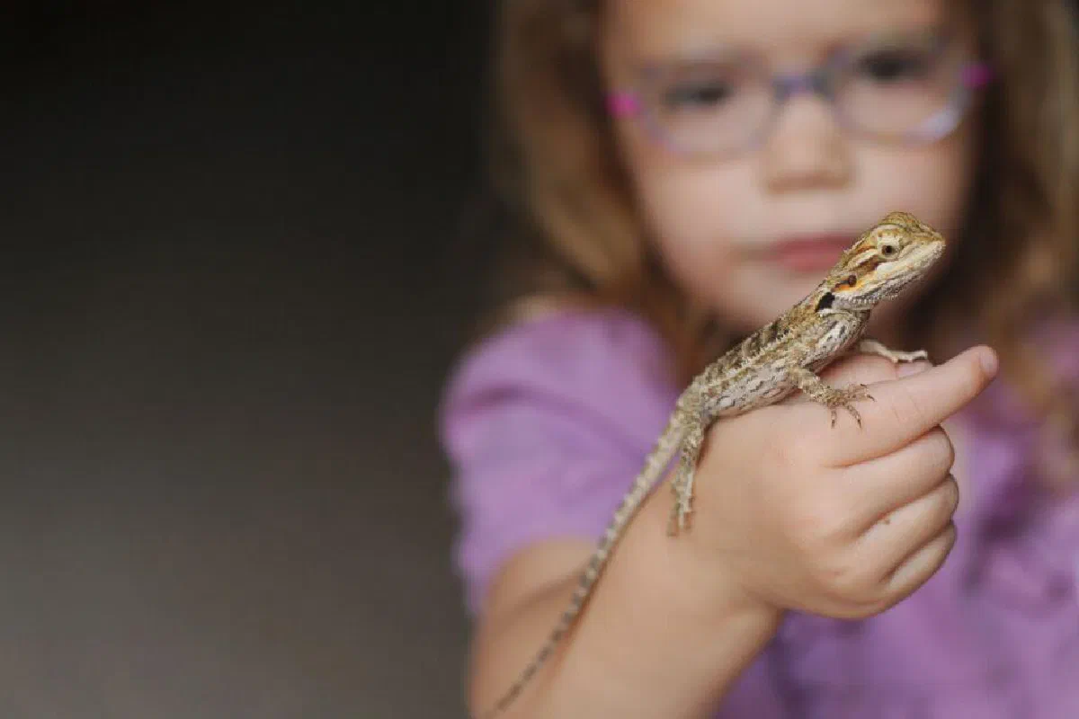 Is there any validity to the Reptilian conspiracy? What is the Reptilian conspiracy?