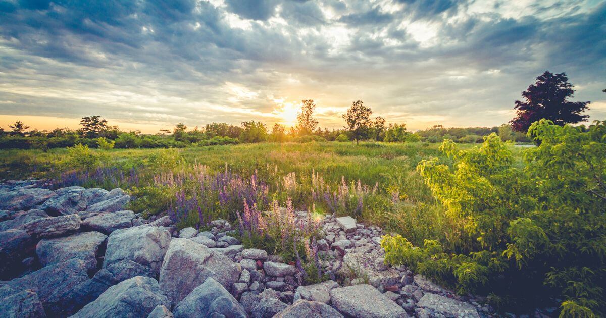 What is Shiloh? Is Shiloh related to a Messianic prophecy?