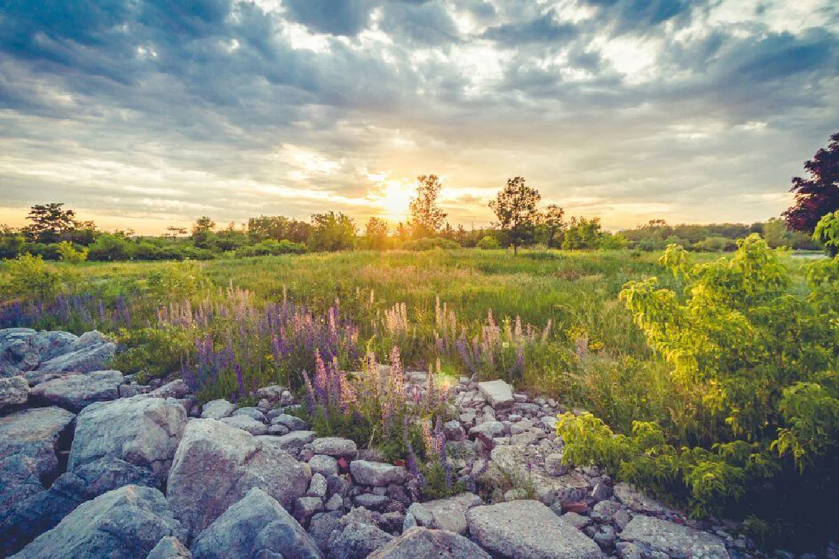 What is Shiloh? Is Shiloh related to a Messianic prophecy?