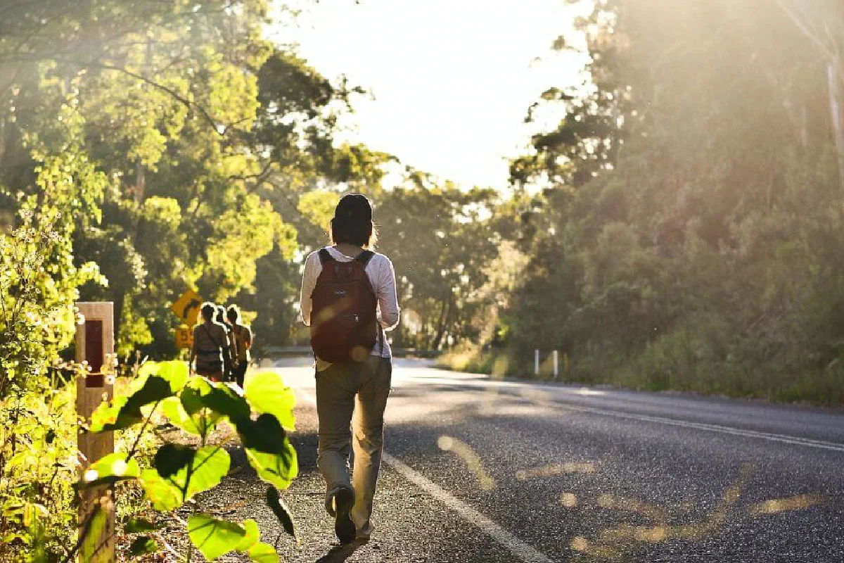 What is it to abide in Christ? What does it mean to abide in Christ?