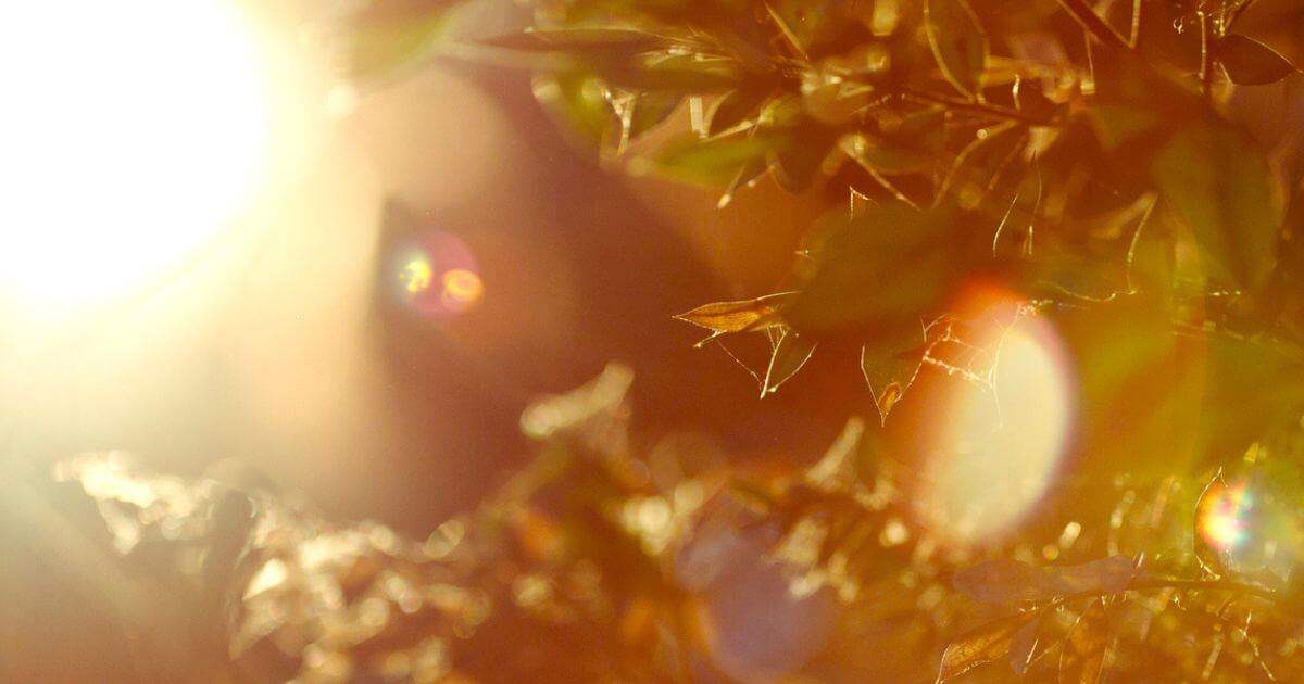 What does it mean that Satan disguises himself as an angel of light?