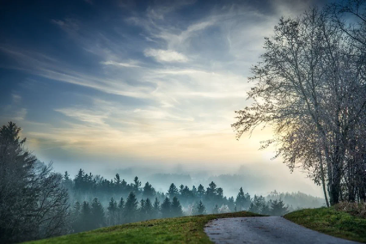 Scenic forest view with road and mist at dawn, perfect for a serene wallpaper.