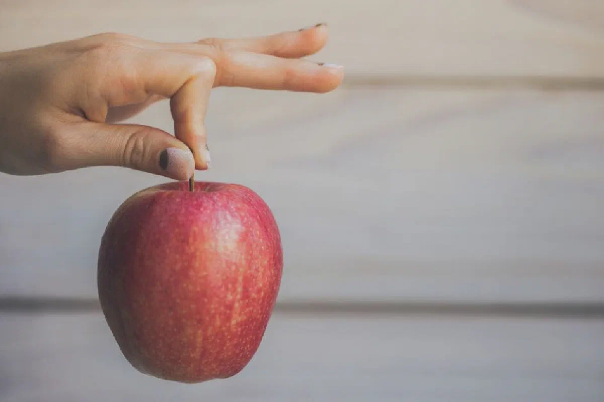 What is meant by being the apple of God's eye?