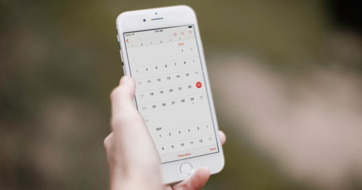 What are the LORD’s appointed times in Leviticus 23?