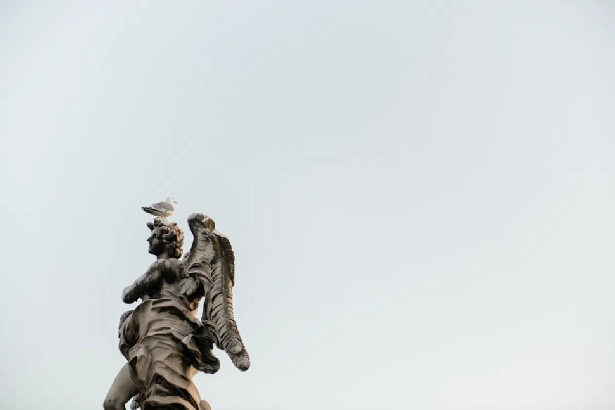 A seagull perched on an angel statue against a clear blue sky. Minimalist composition captures serenity.