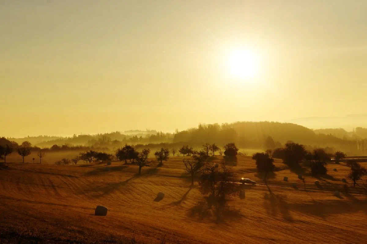 Golden sunrise illuminating a tranquil countryside landscape with misty fields and silhouetted trees.