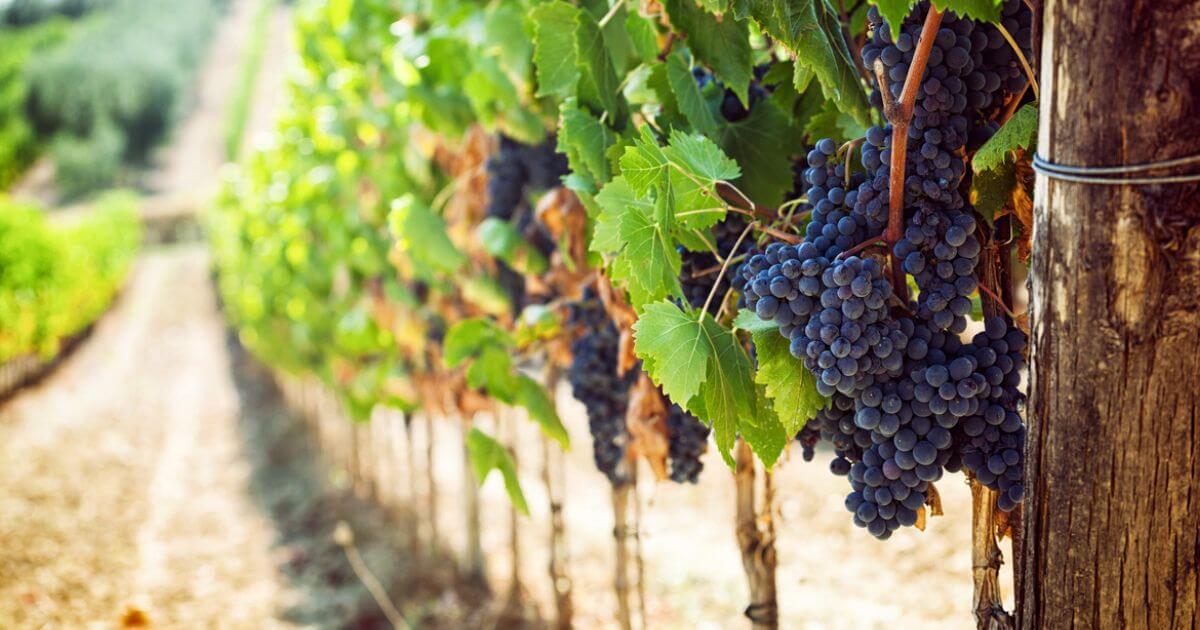 What does it mean to bear fruits worthy of repentance (Matthew 3:8)?