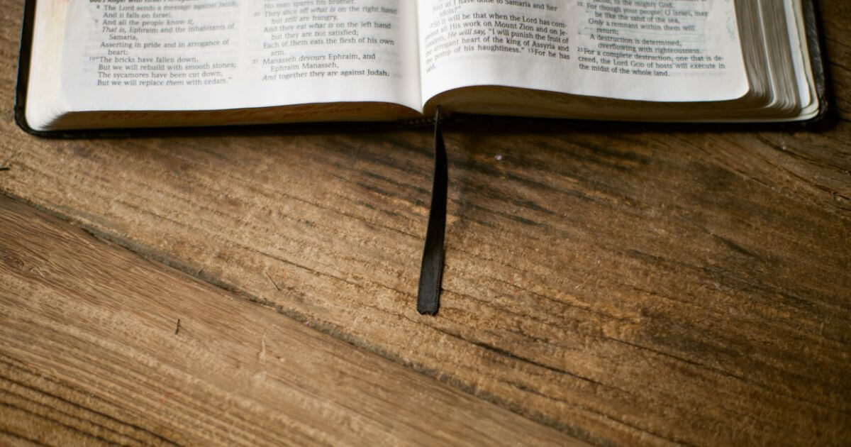 What are the various forms of biblical literature?