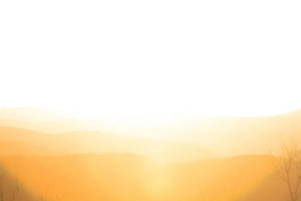 The blessed hope – What is it?