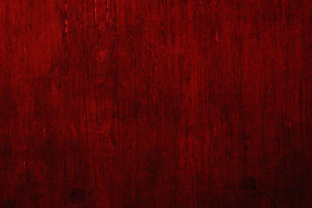 What is the significance of the blood of Christ?