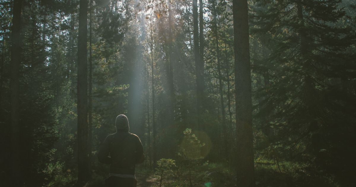 Do we have a body, soul, and spirit? Are we made of two parts or three? Dichotomy or trichotomy?