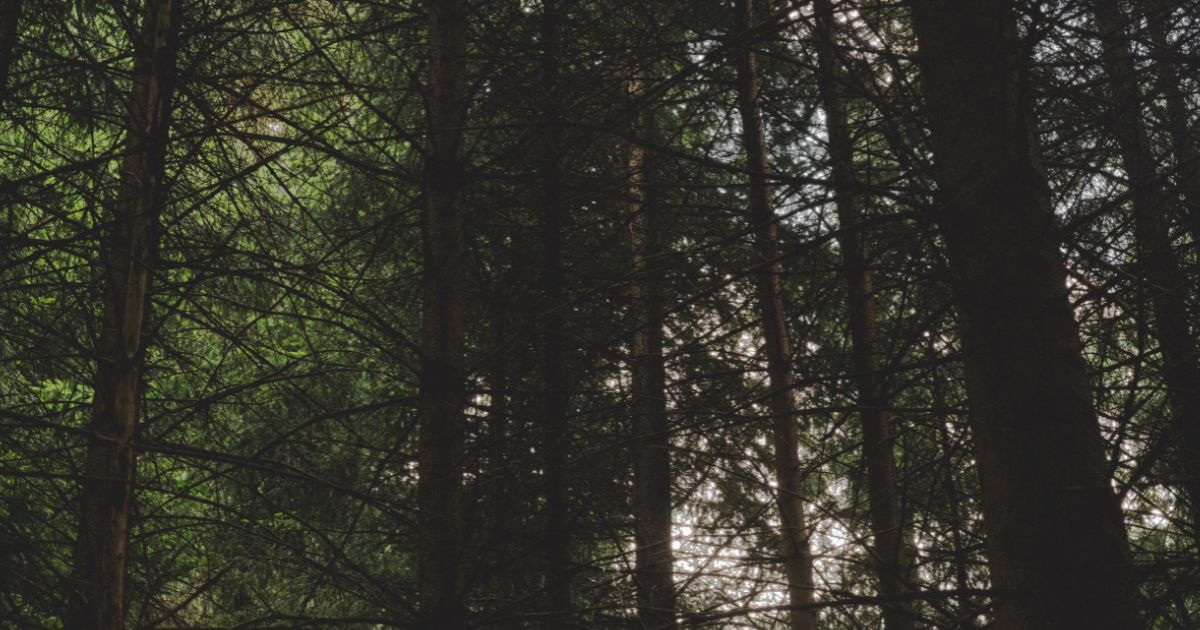 The Book of Giants — What is it?