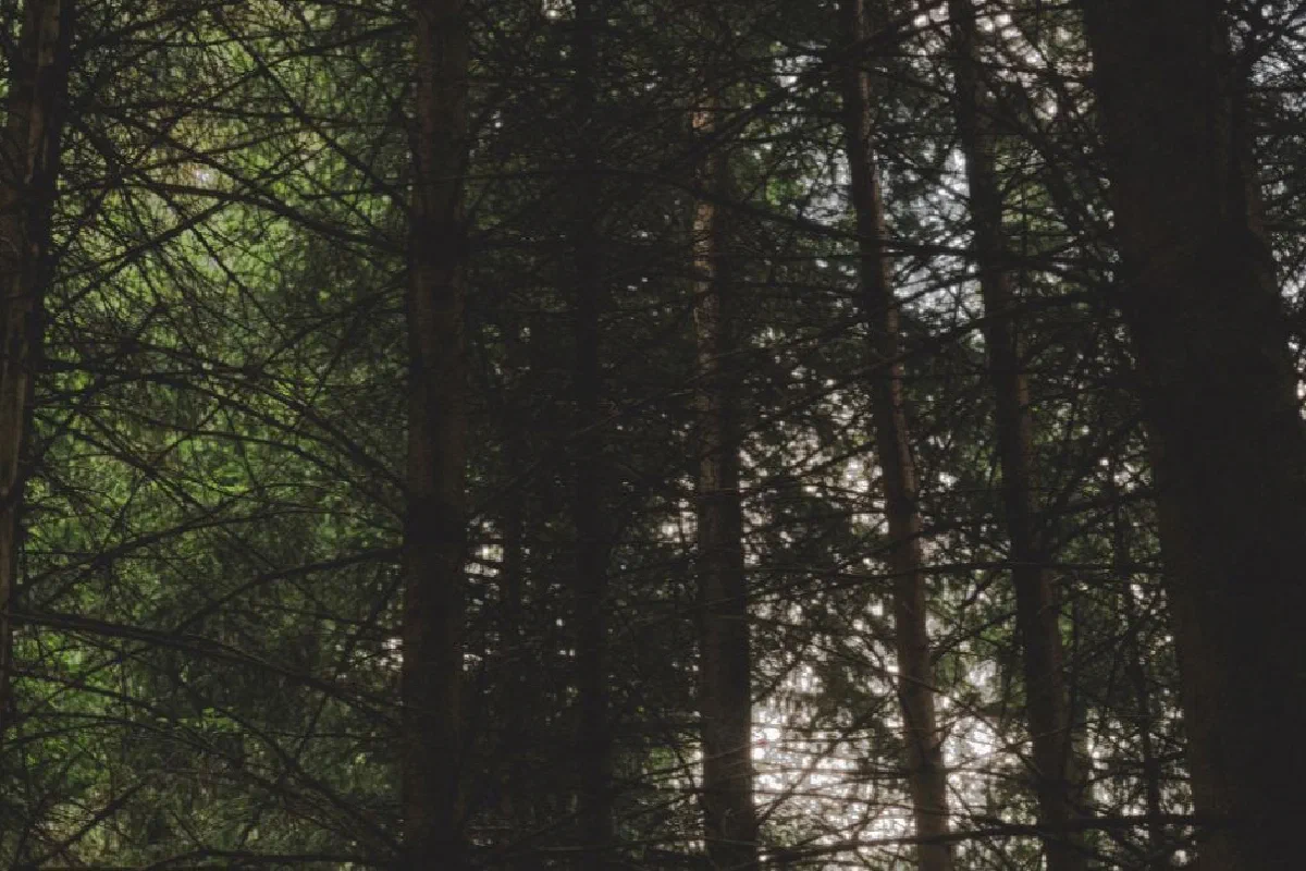 The Book of Giants — What is it?