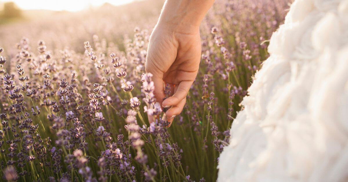 How is the church the bride of Christ?