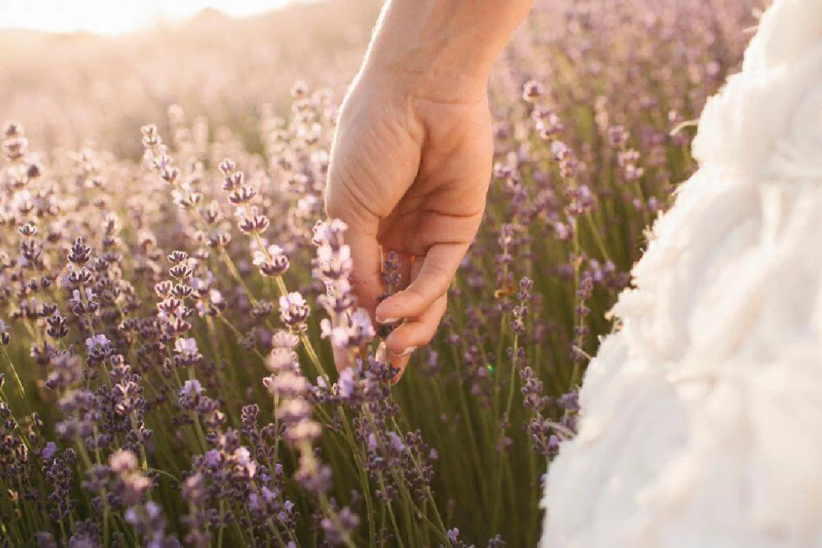 How is the church the bride of Christ?