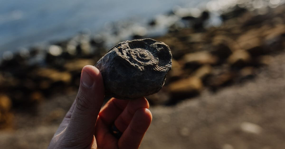 How reliable is carbon dating? Is radiocarbon dating a good method to use to determine the age of things?