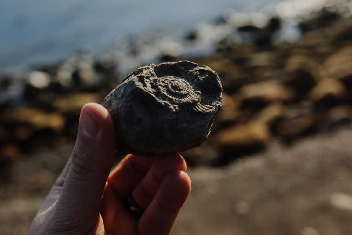 How reliable is carbon dating? Is radiocarbon dating a good method to use to determine the age of things?