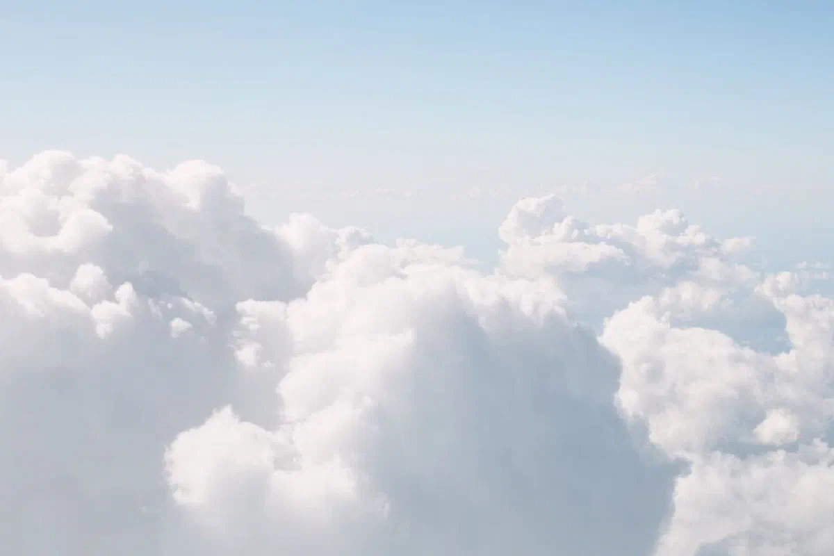 What are cherubim in the Bible? Are cherubs angels?