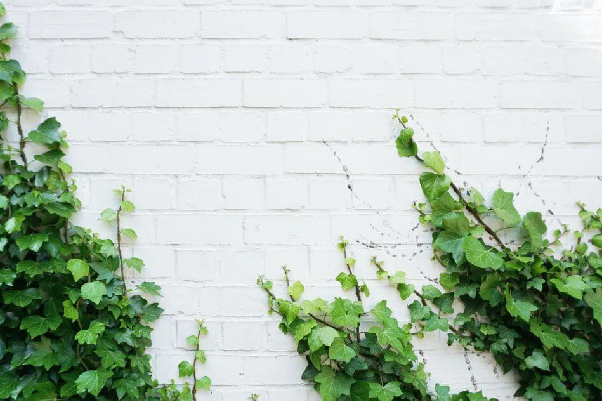 Does the Bible give insight into church growth?