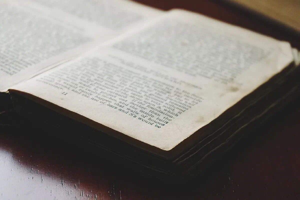 Close-up of an open book displaying textured pages and visible text, ideal for literary themes.