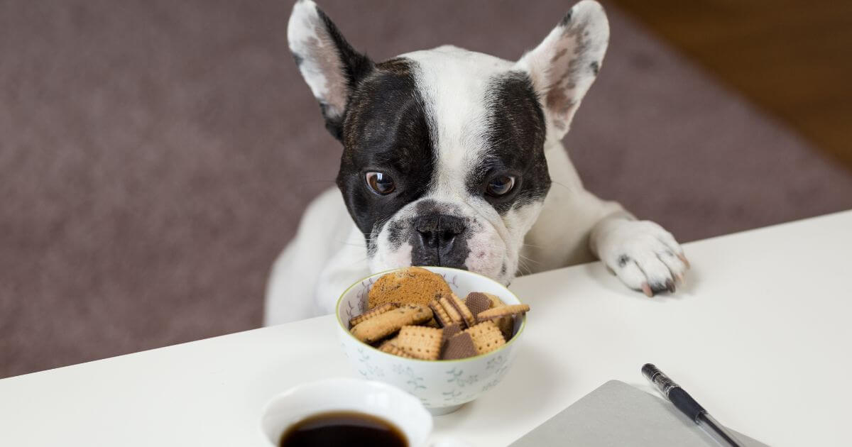 Could Jesus have sinned?