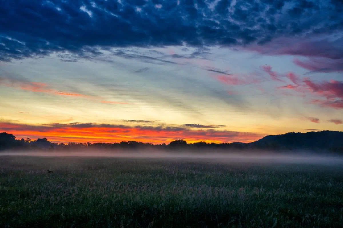 A vibrant summer sunset over a misty field in Modena, Wisconsin, USA.