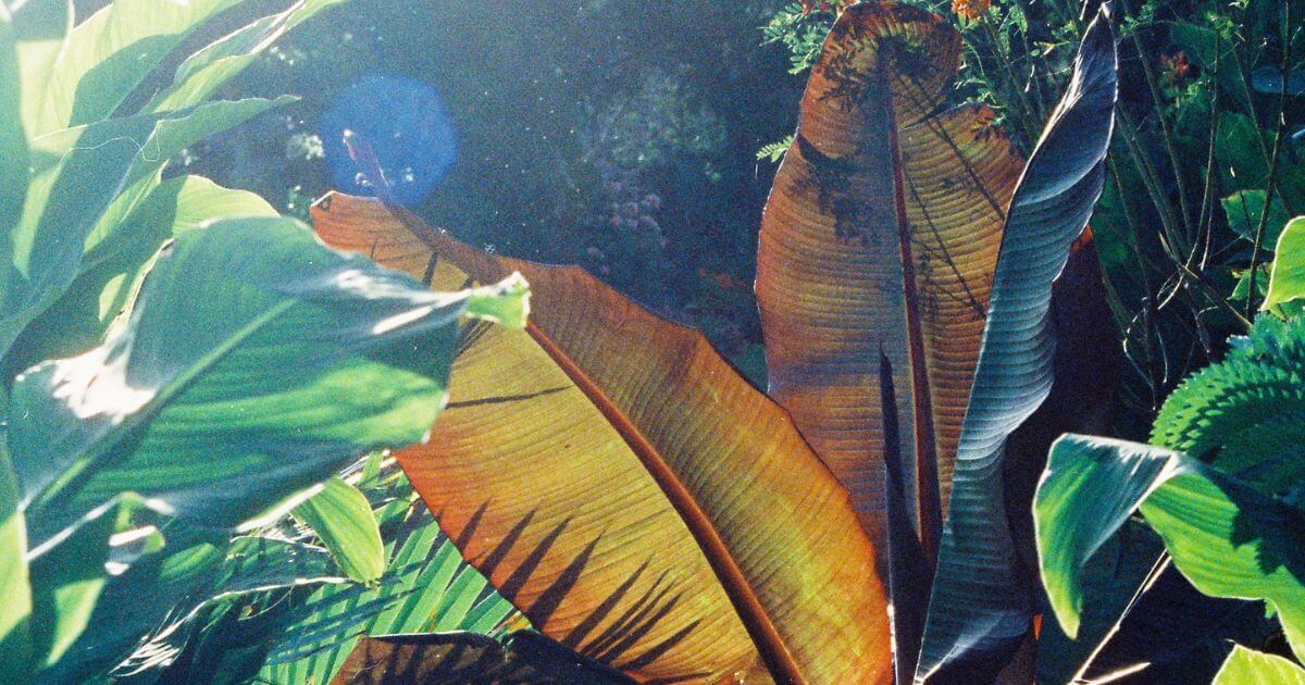 What happened on each of the six days of creation?