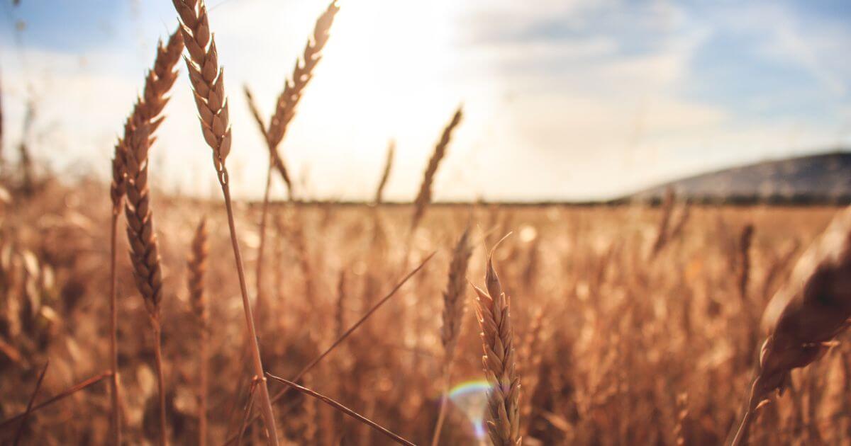 The day of Pentecost – What is it?