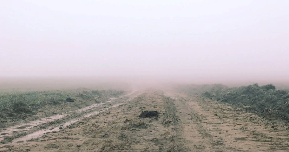 What does it mean in Ecclesiastes 9:5 that 'the dead know nothing'?