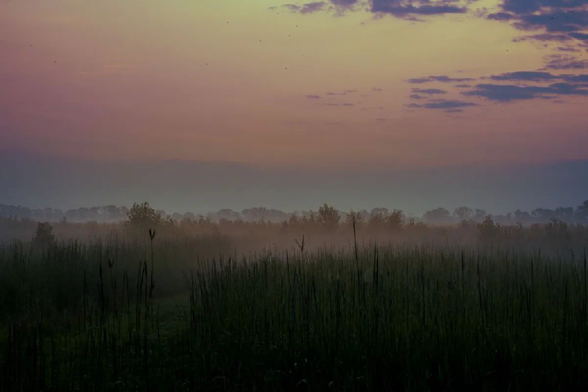 Scenic view of a foggy field at dawn with mist and colorful sky.