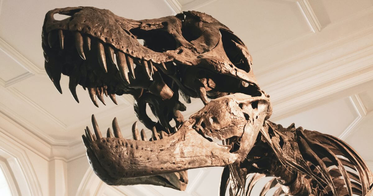 Are there dinosaurs in the Bible?