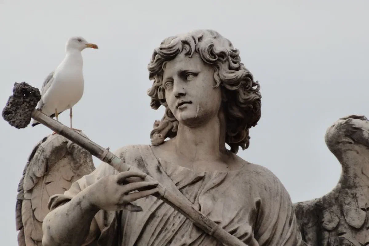 A seagull perched on a historic angel statue in Rome, offering a unique contrast.