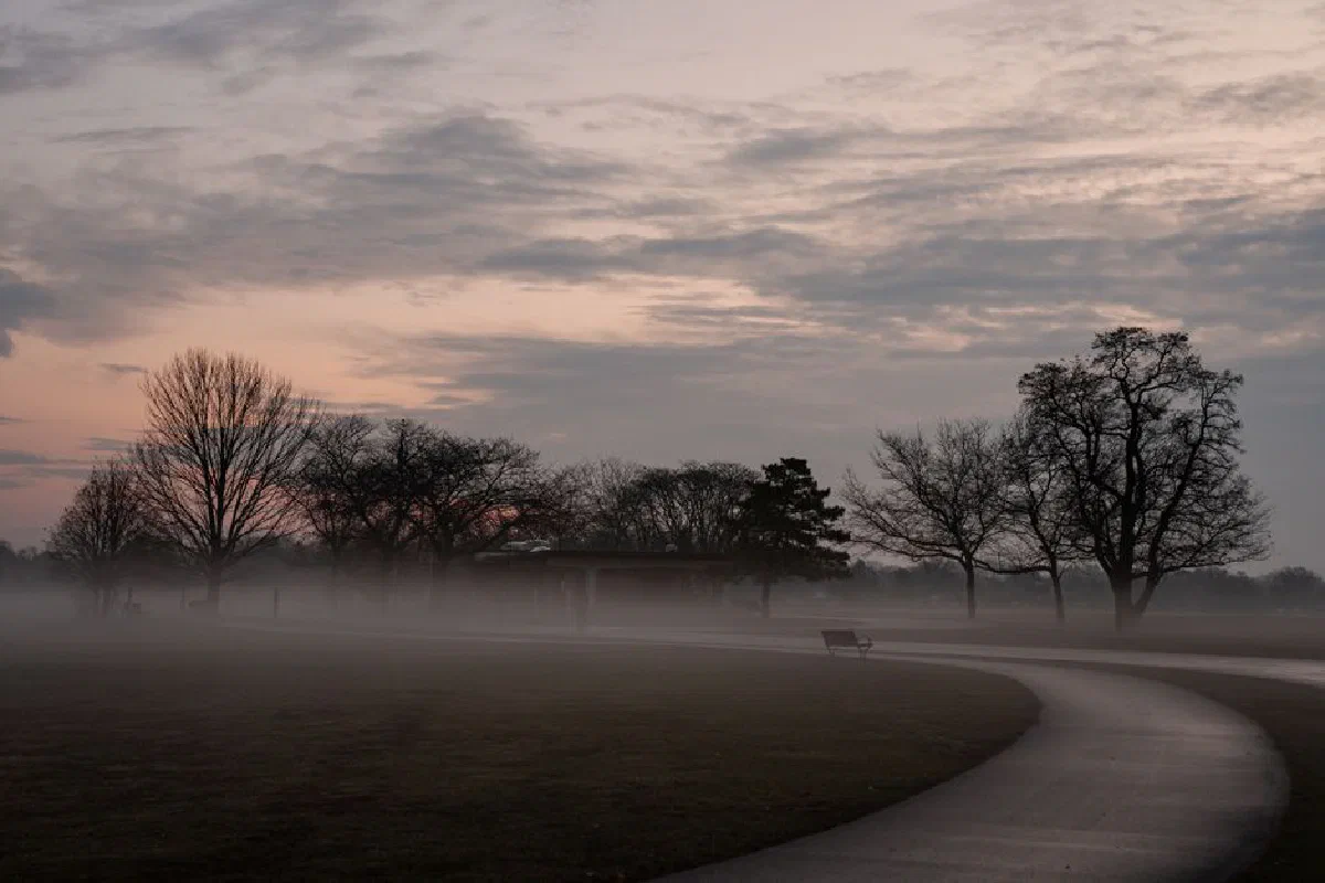 Serene foggy autumn morning at Cove Island Park in Stamford, Connecticut with fall colors and mist.