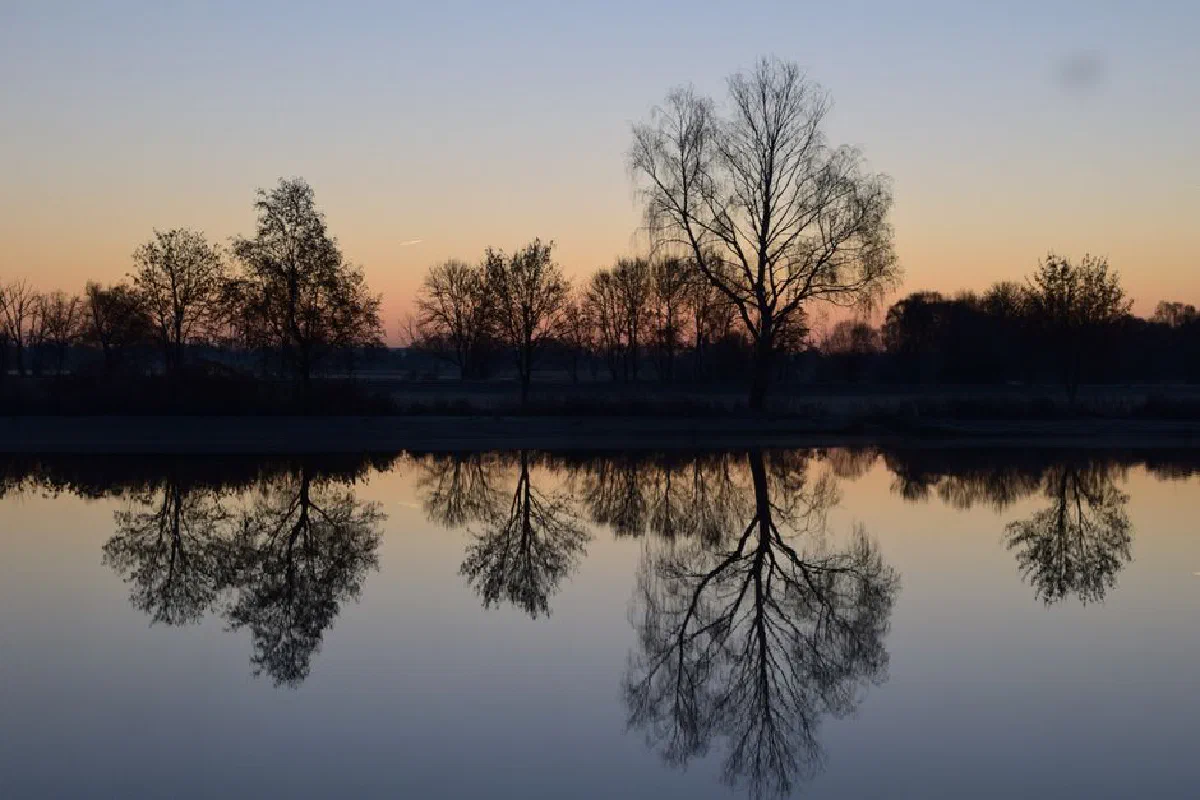 Tranquil scene of trees reflecting on a calm lake at dawn, capturing the serene beauty of nature.