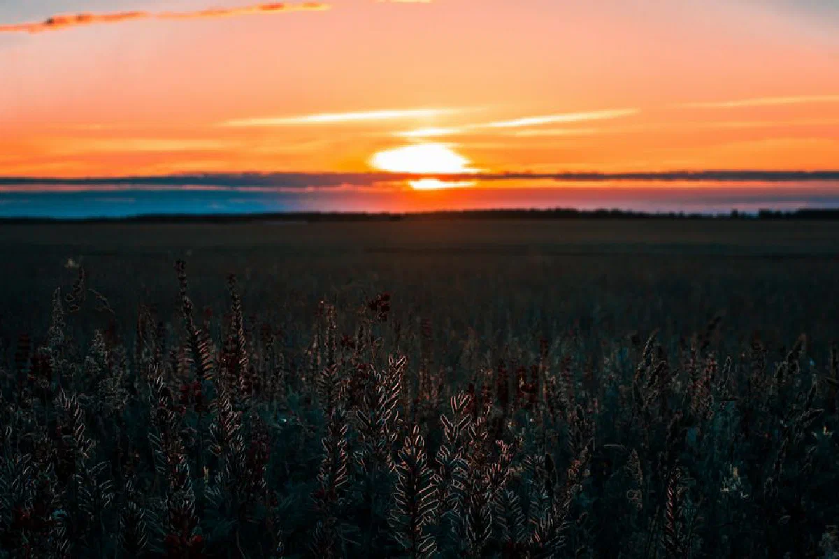 A breathtaking sunset over vast cropland, showcasing nature's vivid colors and tranquility.