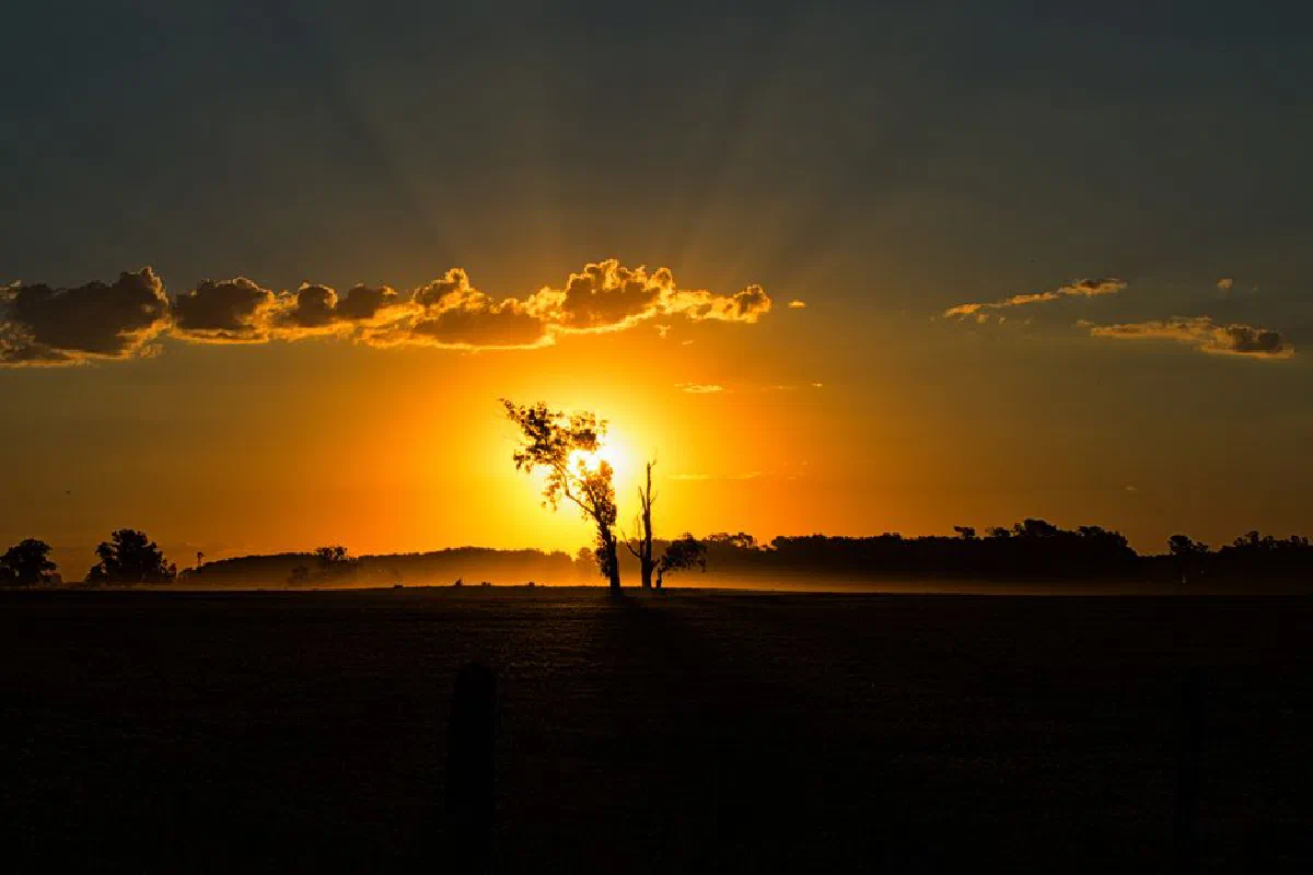 A stunning sunset with vibrant colors illuminating a tranquil field, creating a silhouette scene.
