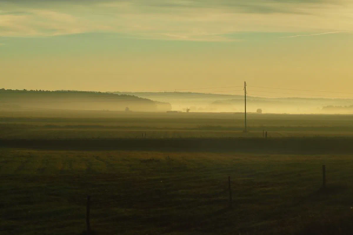 Tranquil countryside view with misty fields at sunrise, capturing the serene ambiance of nature.