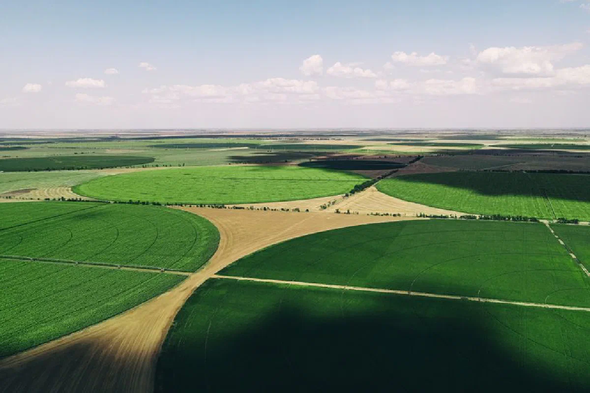 Breathtaking aerial view of expansive green farmland with circular patterns under sunny skies.