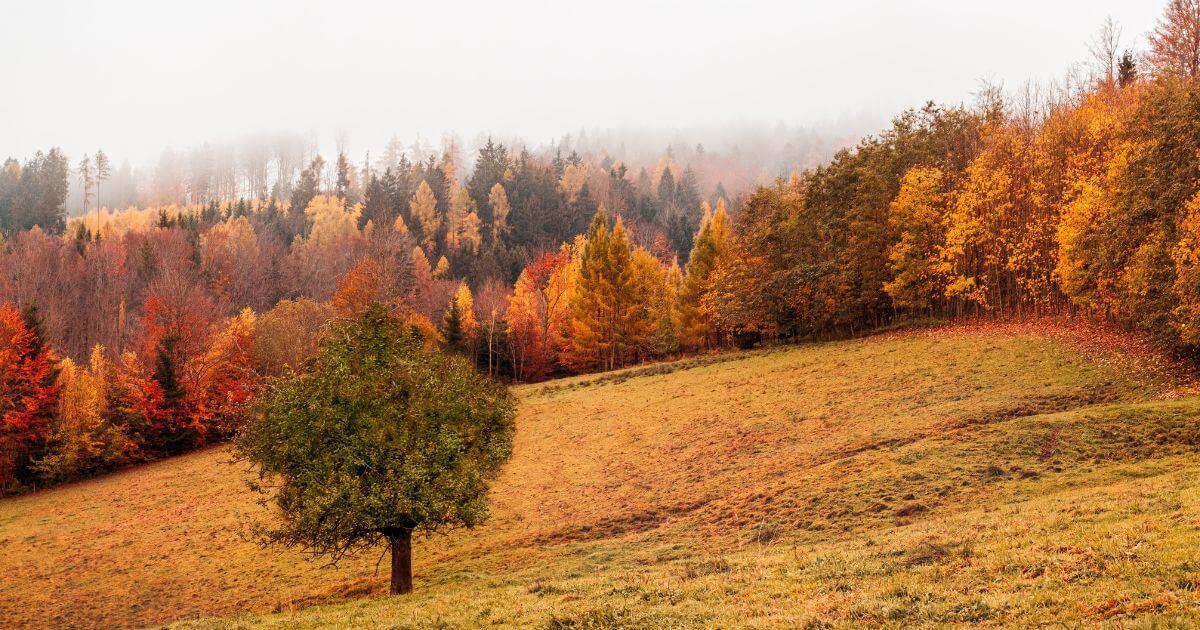Is the idea that seasons won't be recognizable in the end times biblical?