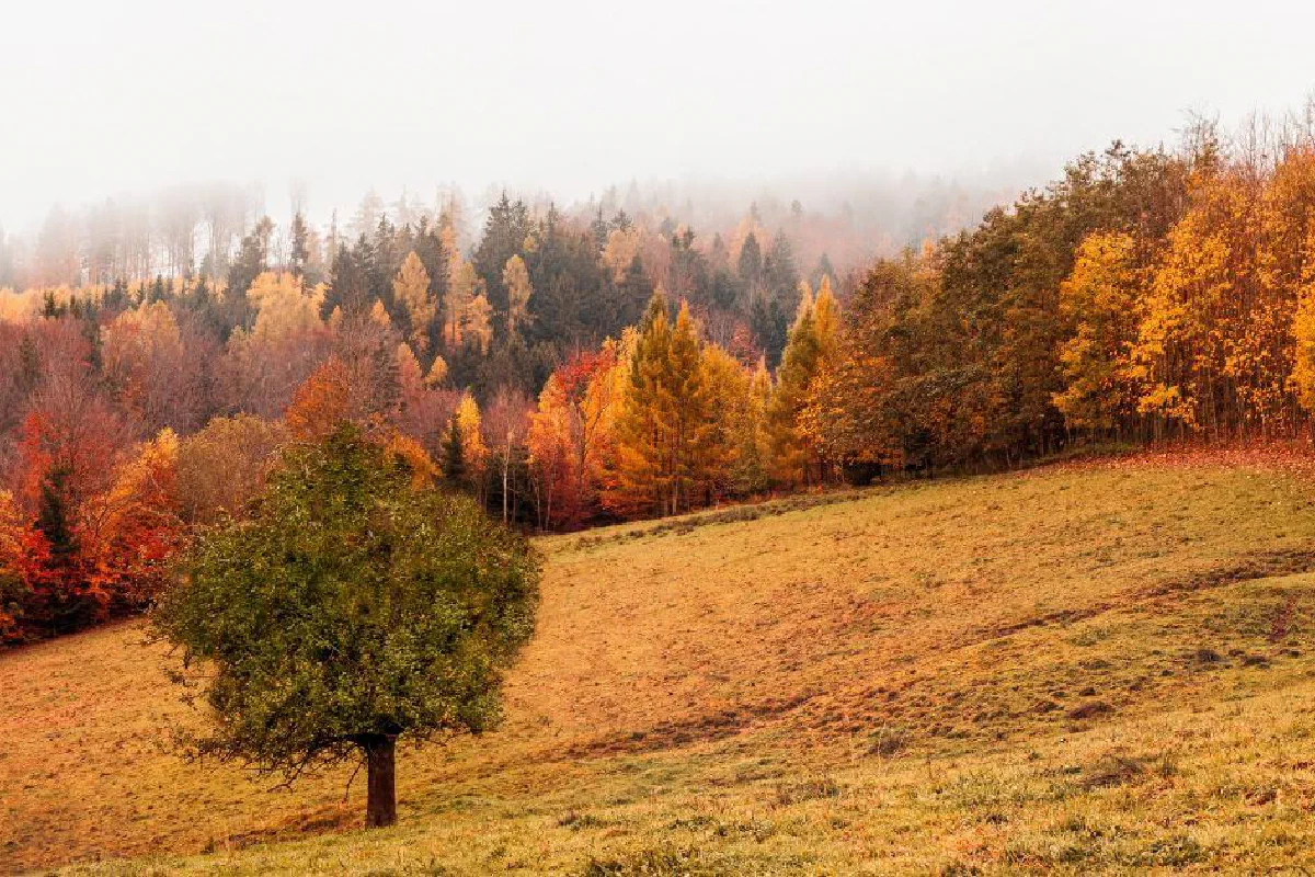 Is the idea that seasons won't be recognizable in the end times biblical?
