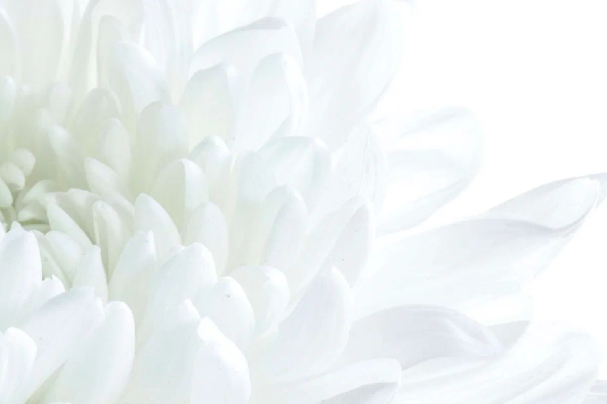 Is entire sanctification possible? Can Christians achieve sinless perfection in this life?