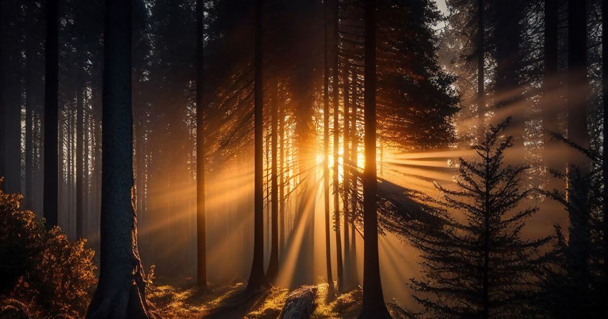 If we still die, what does it mean that we have everlasting life?