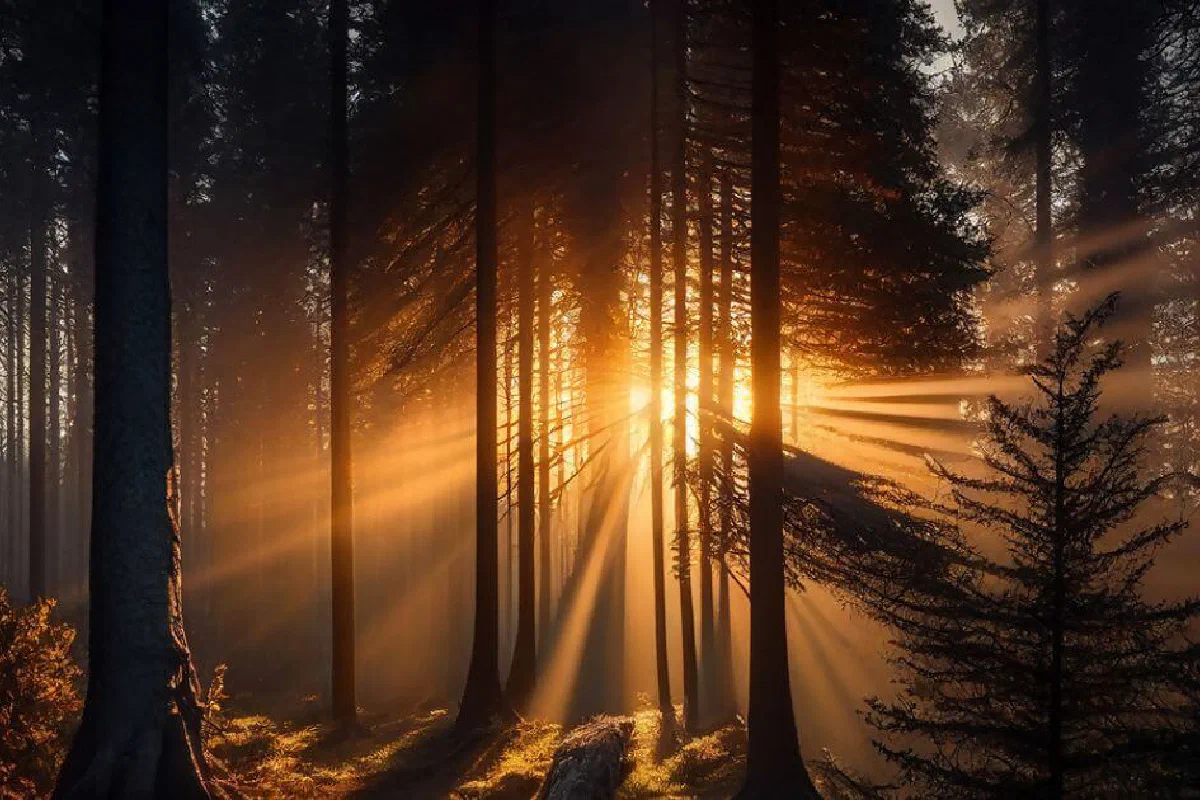 If we still die, what does it mean that we have everlasting life?