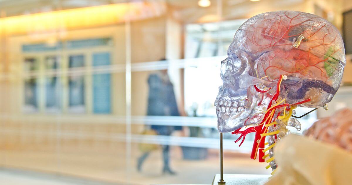 Faith vs. science. Is there a contradiction between faith in God and science?