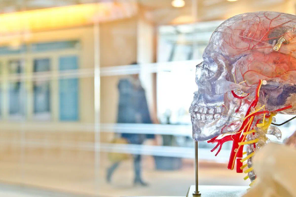 Faith vs. science. Is there a contradiction between faith in God and science?