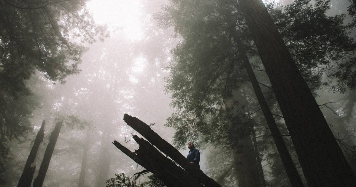 What was the effect of the fall on humanity? How did the fall affect our world?