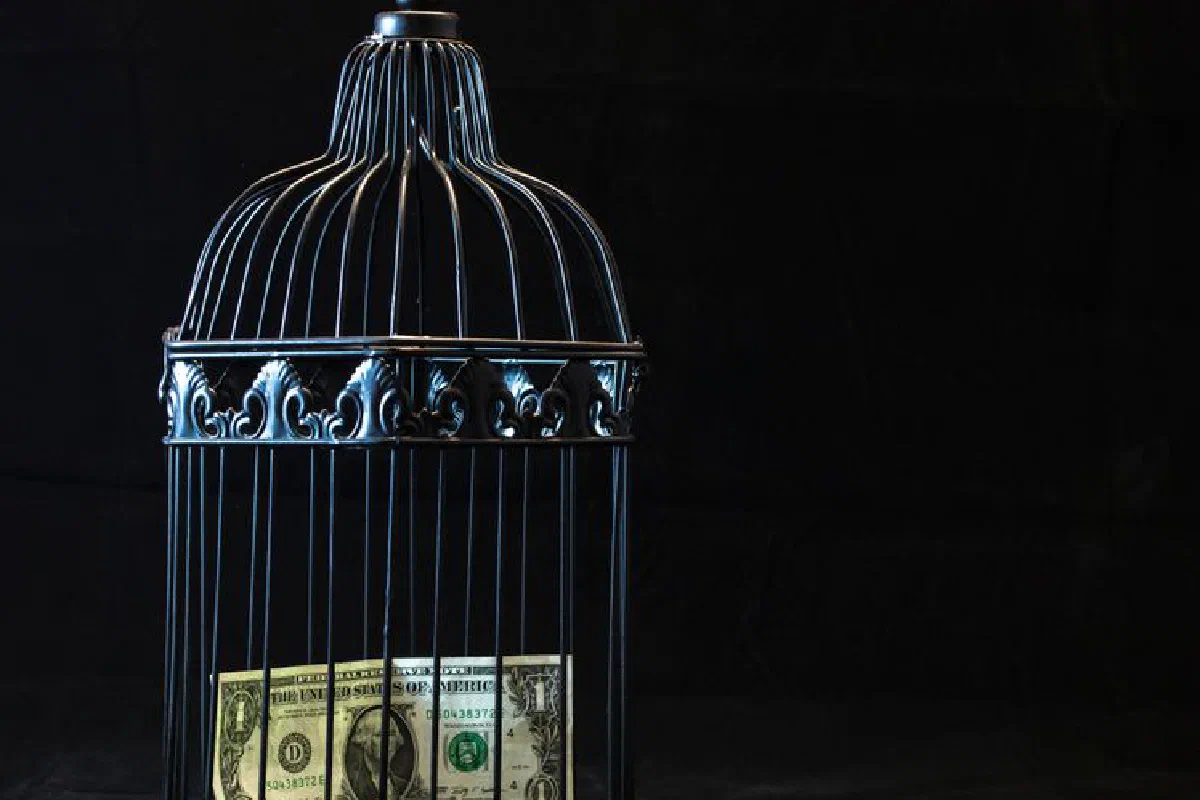 A dollar bill imprisoned in a decorative cage symbolizing financial confinement.